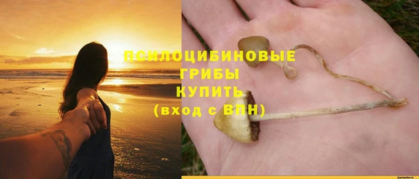 амф Арсеньев
