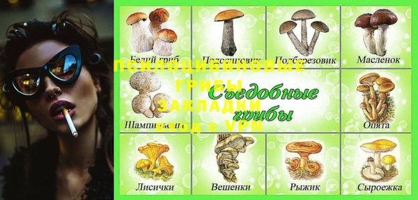 амф Арсеньев